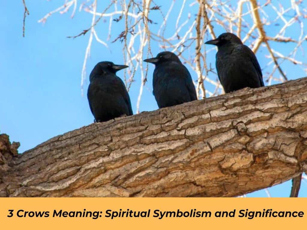 3 Crows Meaning